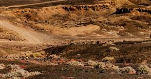 什么是牛牛中的“心态止损”？当你开始乱叫倍数时，就是离场信号。（牛牛的心态止损：当你开始乱喊倍数时，就该离场）